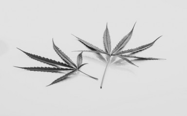 Детоксикация от наркотиков в Хвалынске